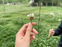 -白鹭湾湿地公园