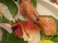 -極上萬膳·日料放题(海岸城店)