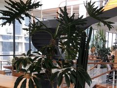 -太湖饭店·寄畅轩中餐厅