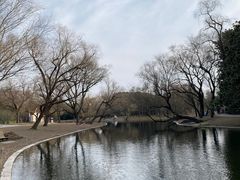 -上海共青森林公园