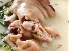 -中和裴氏蹄花(府河路店)