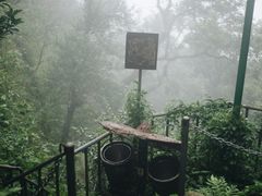 -七仙岭温泉国家森林公园