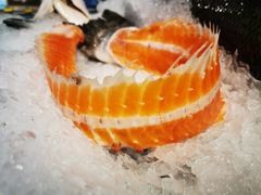 -盒马鲜生(大都荟店)