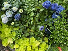 -Onitsuka Tiger(上海久光百货店)