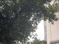 -二0二李记南瓜田鸡老字号(宜宾一店)