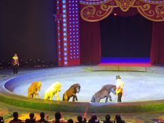 -珠海横琴长隆《卡卡虎奇遇记》