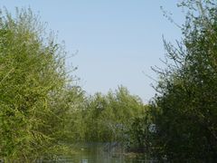 -永定河休闲森林公园