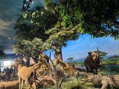 -国家自然博物馆