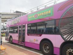 -Big Bus Tours 敞篷观光巴士