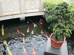 -顺德了能馆(虎门店)