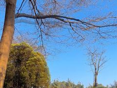 -厦门园林博览苑