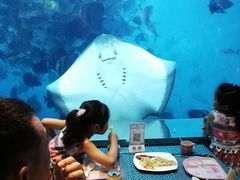 -瑞德姆美人鱼海底演艺主题餐厅(亚龙湾店)