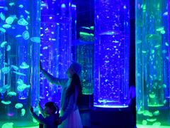 -海合安成都极地海洋公园
