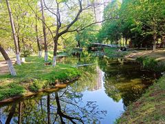 -长白岛森林公园