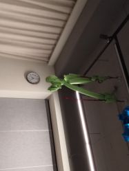 -FineYoga梵音瑜伽·普拉提