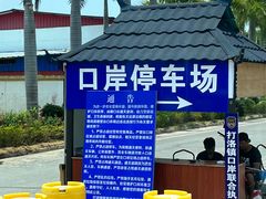 -打洛口岸