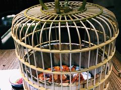 -胡桃里音乐酒馆(星湖北一里店)