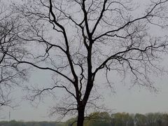 -长广溪湿地公园