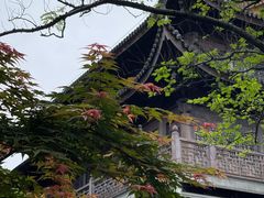 -龙华寺