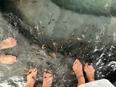 -剑河仰阿莎温泉小镇