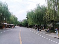 -茯茶镇