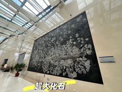 -安徽省地质博物馆