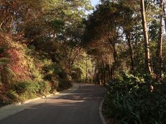 -云溪植物园