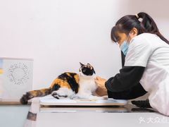 -特一安24小时宠物医院·骨科·中兽医