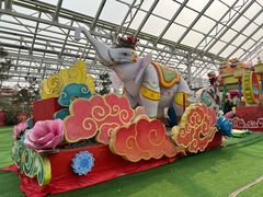 -南宫五洲植物乐园