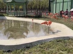 -秦皇岛野生动物园