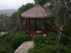 -飞凤山奥体公园