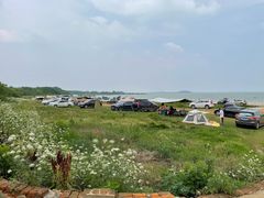 -青龙山国家森林公园