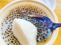 双皮奶-文昌邓记清补凉(西沙路店)