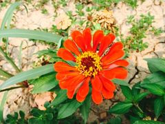 -万源龙顺度假庄园生态观光园