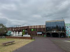 -黄海国家森林公园