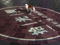 -拾光里·清补凉(骑楼老街店)