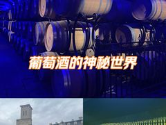 -北京张裕爱斐堡酒庄