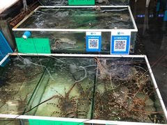 -拉威海鲜市场