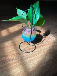 -爱贝蕊恩韩式月子会所(南山店)