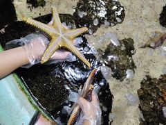 -嘉兴海底世界