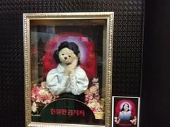 -济州岛泰迪熊博物馆