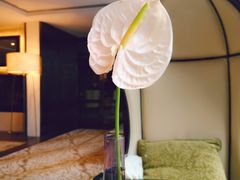 -行者书屋大堂吧 ·下午茶(南京圣和府邸酒店)