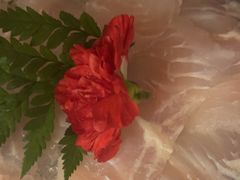 -刘一手重庆火锅(万达广场店)
