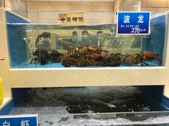 -双井轩(双井店)