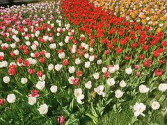 -君庭中餐厅(友谊宾馆店)