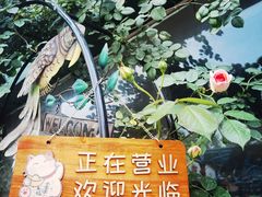 -参差咖啡(水果湖公园店)