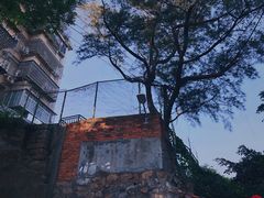 -铁路文化公园