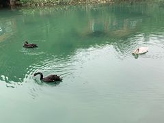 -杭州开元森泊度假乐园