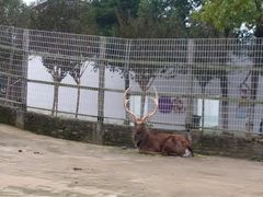 -武汉紫薇都市田园