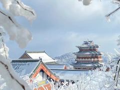 -张家界天门山国家森林公园
